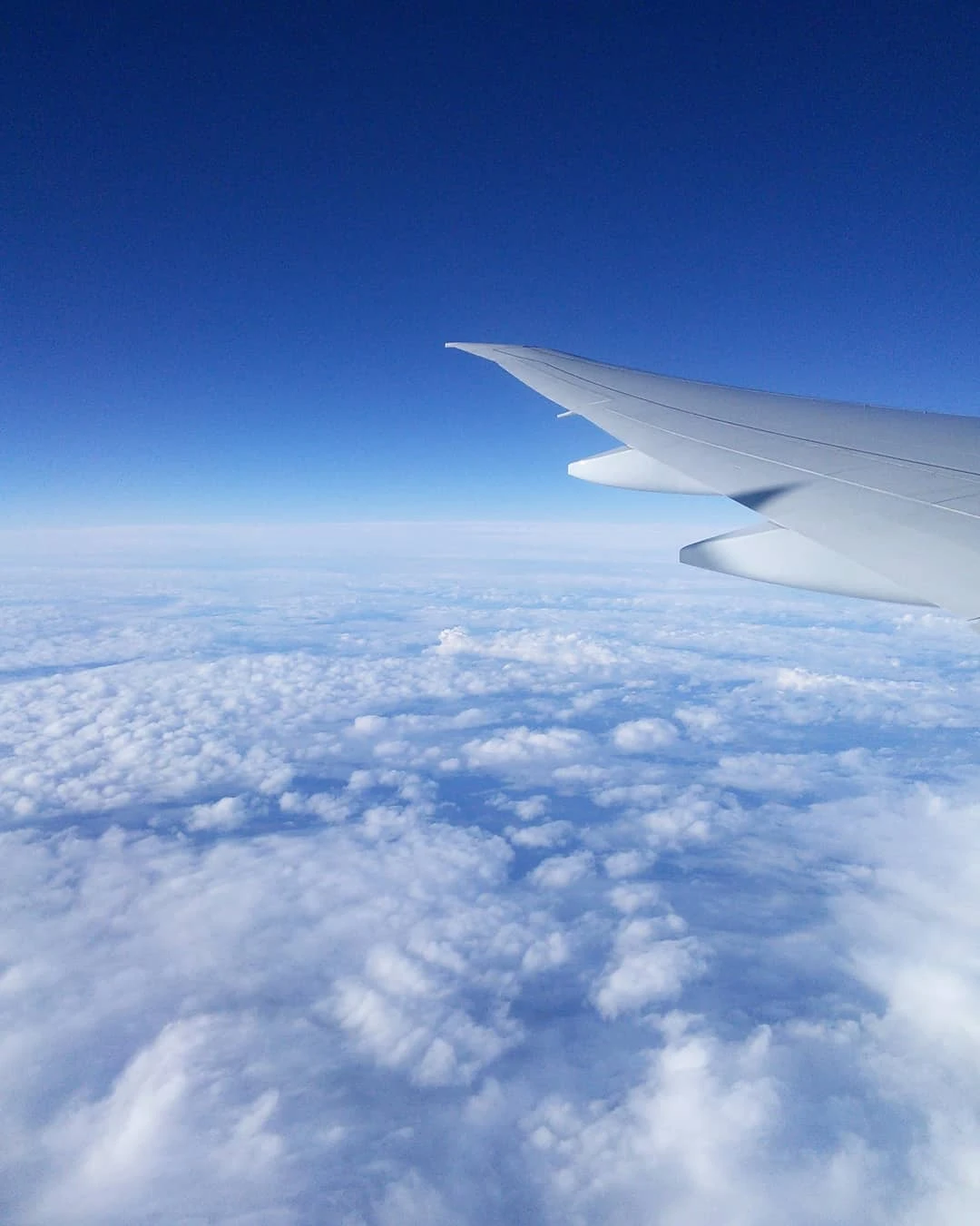 assets/images/my-photos/on-airplane.webp assets/images/my-photos/on-airplane.webp